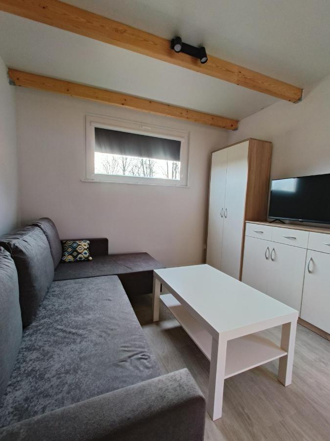 Вилла Zagajnik Country Camp Obok Suntago Grabce-Towarzystwo Экстерьер фото