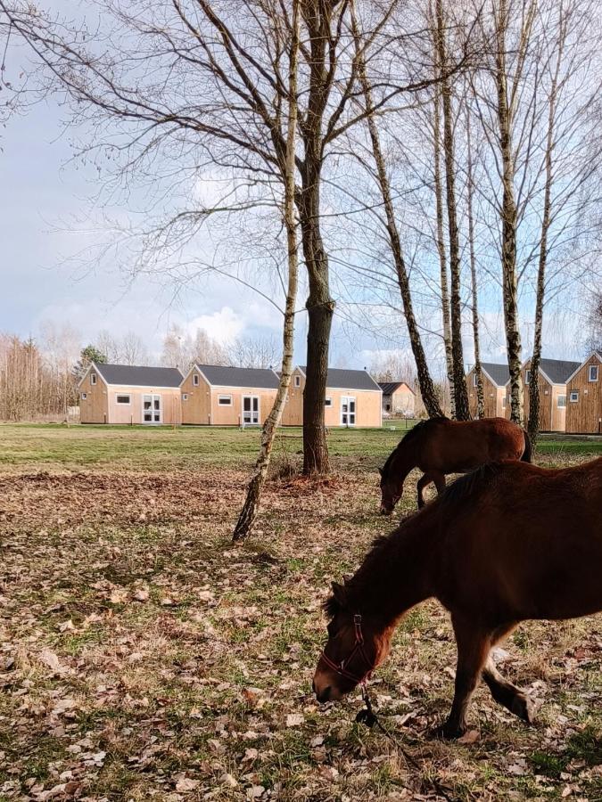 Вилла Zagajnik Country Camp Obok Suntago Grabce-Towarzystwo Экстерьер фото